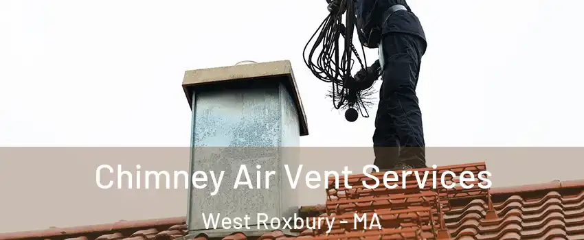 Chimney Air Vent Services West Roxbury - MA