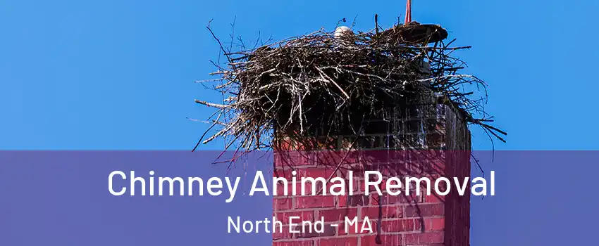 Chimney Animal Removal North End - MA