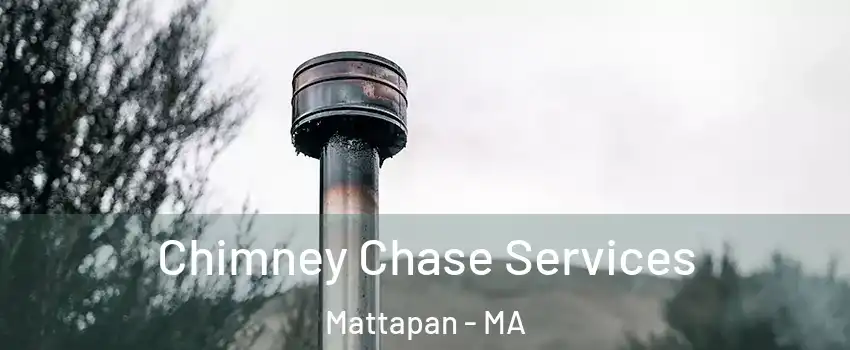 Chimney Chase Services Mattapan - MA