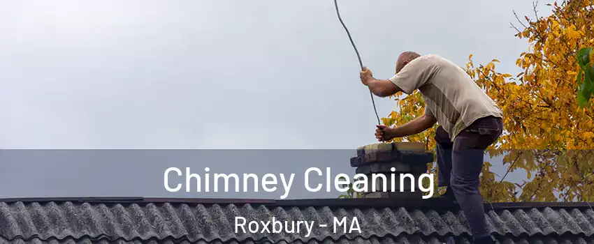 Chimney Cleaning Roxbury - MA