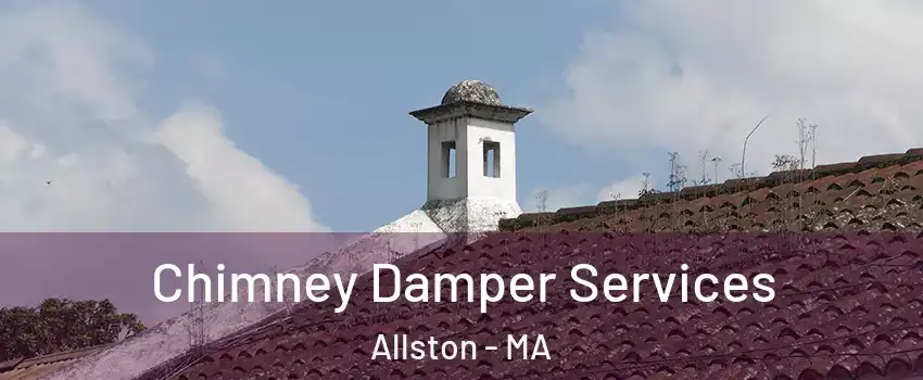 Chimney Damper Services Allston - MA