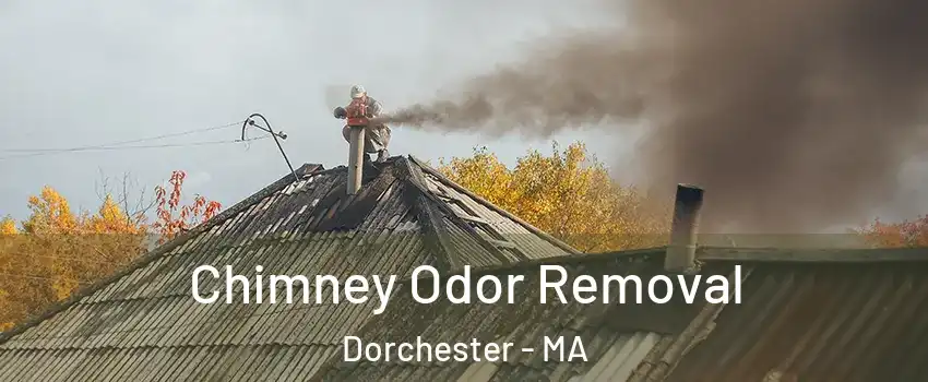 Chimney Odor Removal Dorchester - MA