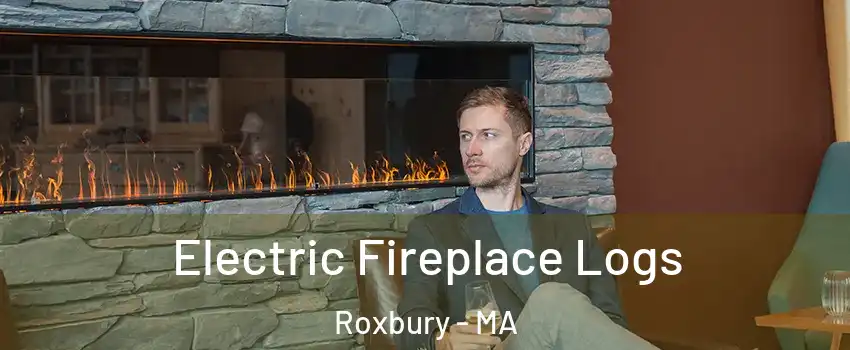Electric Fireplace Logs Roxbury - MA