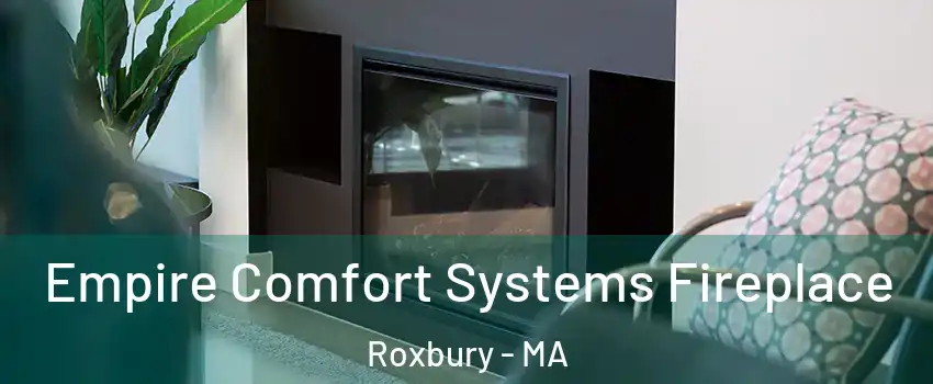 Empire Comfort Systems Fireplace Roxbury - MA