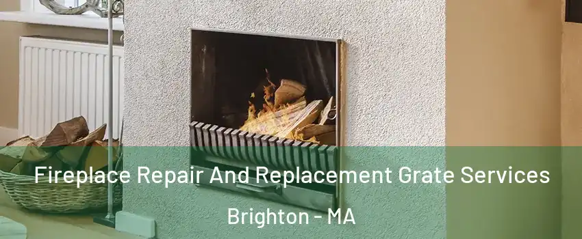 Fireplace Repair And Replacement Grate Services Brighton - MA
