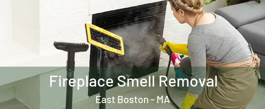 Fireplace Smell Removal East Boston - MA