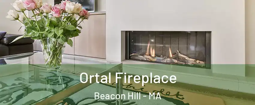 Ortal Fireplace Beacon Hill - MA