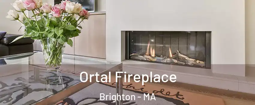 Ortal Fireplace Brighton - MA