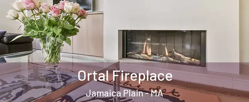 Ortal Fireplace Jamaica Plain - MA